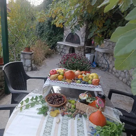 Stari Pazar 3 아파트 코니츠