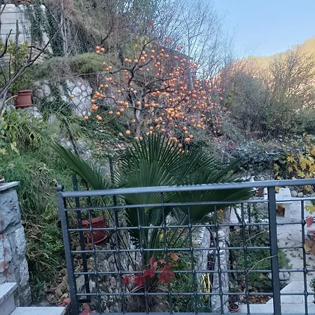 Stari Pazar 3 * 코니츠